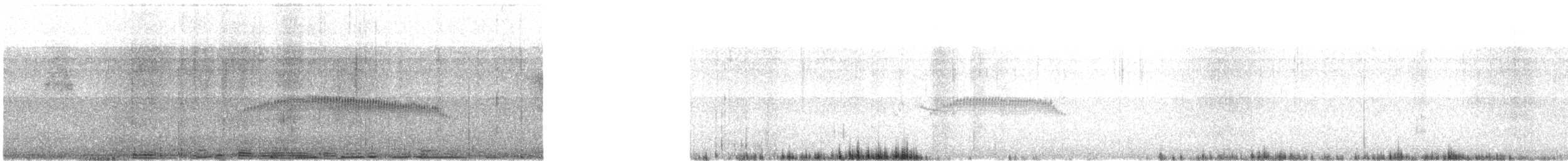 Sarı Gagalı Tiranulet - ML638320138