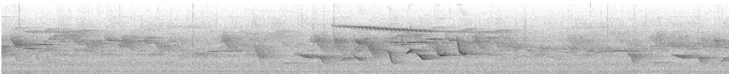 Paseriforme sp. - ML638320677