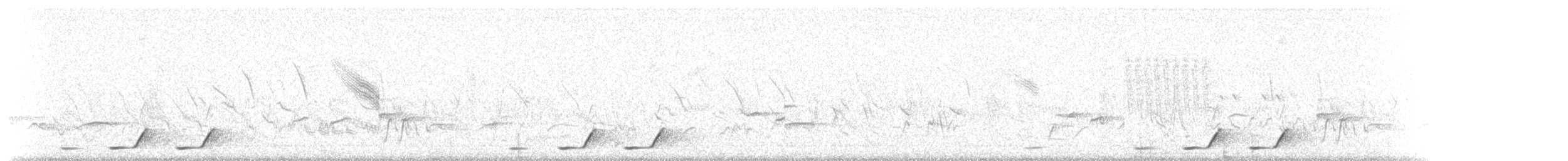 Four-colored Bushshrike - ML638321010