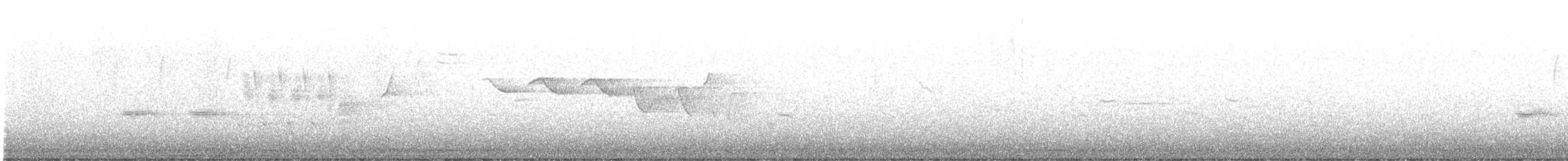Paruline hochequeue - ML638321105