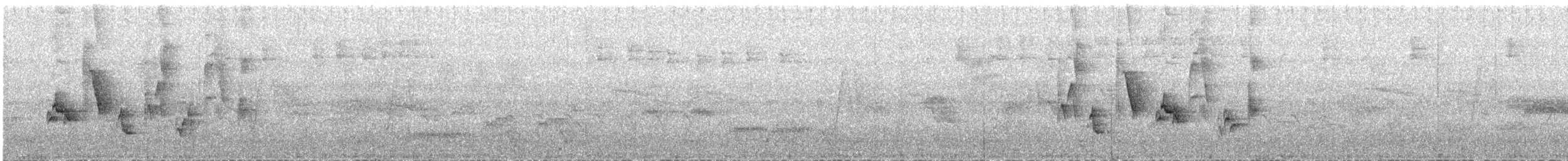 Orange-billed Nightingale-Thrush - ML638321430