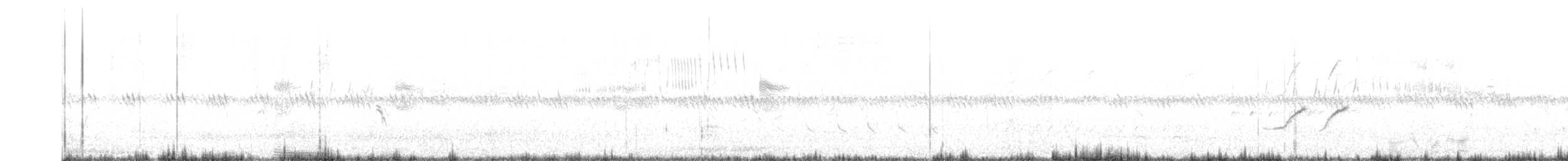 svartstrupesteinskvett - ML638321647