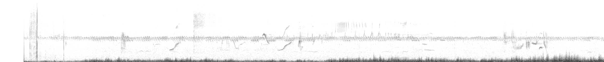 svartstrupesteinskvett - ML638321658