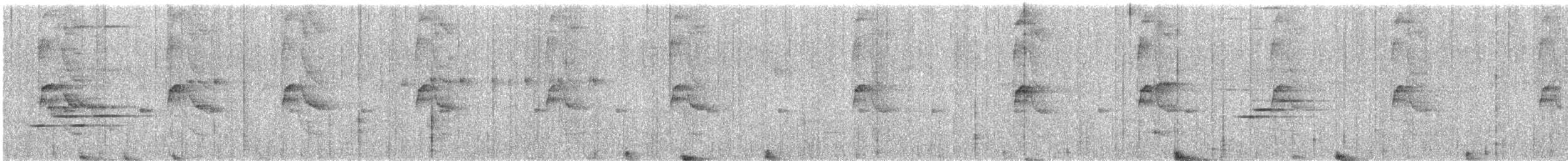 gyllenbuktyrann - ML638322529