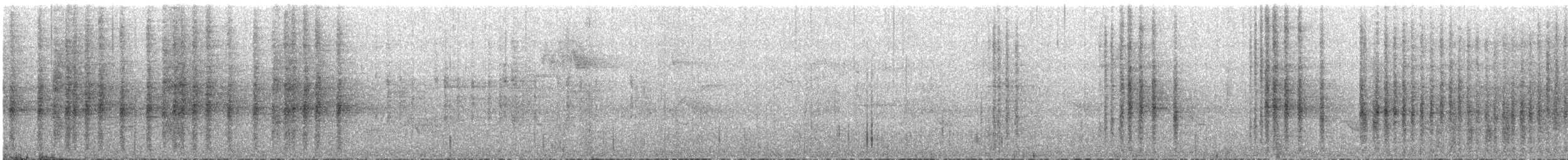 Gray-barred Wren - ML638322968