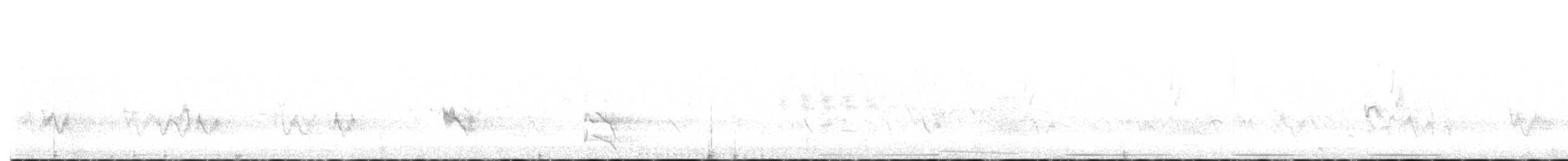 Steller Kargası - ML638323268