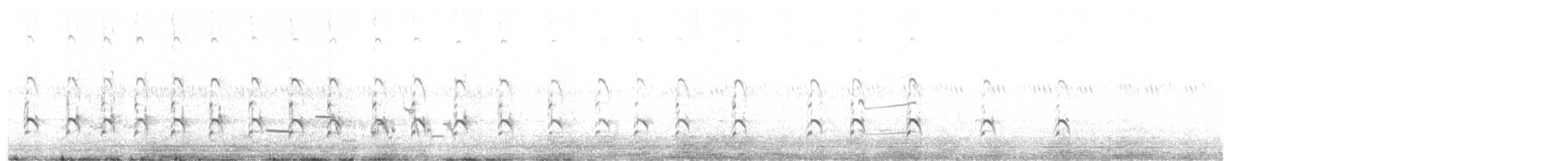 American Avocet - ML638325421
