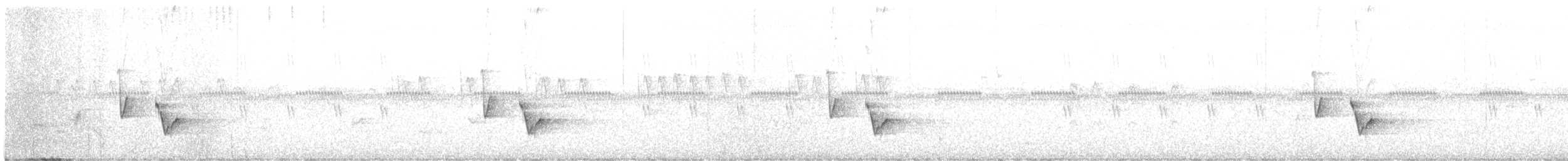 Pulitzer's Longbill - ML638326335