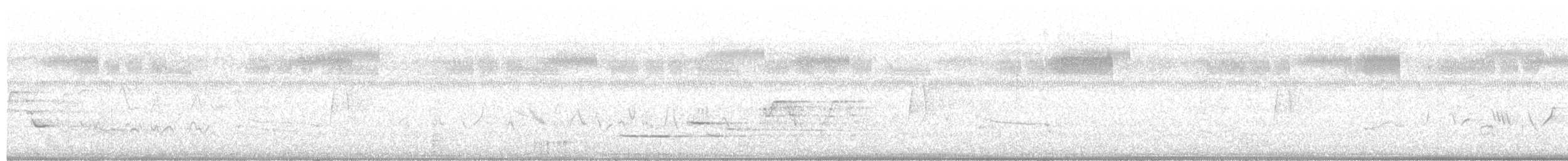 Hermit Thrush - ML638326800