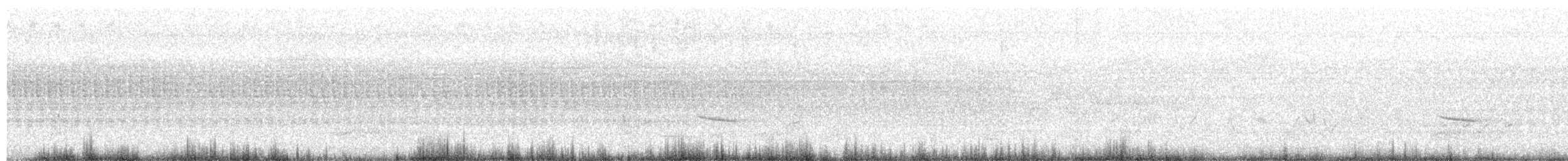 Hermit Thrush - ML638326818