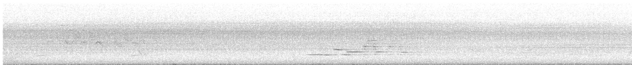 Hermit Thrush - ML638326862