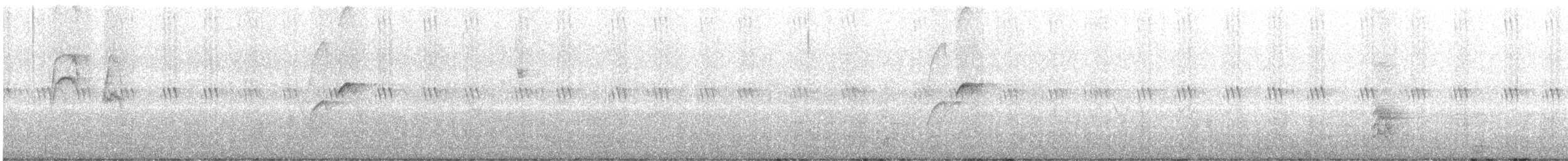 Western Flycatcher (Cordilleran) - ML638327626