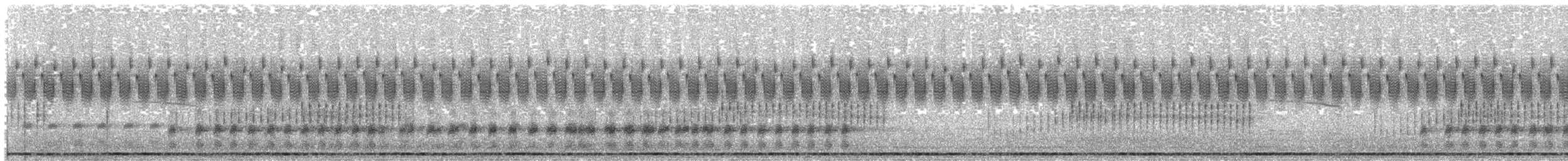 dvergrikse - ML638328217
