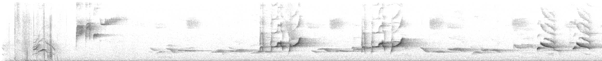 קיכלי רונן - ML638328549