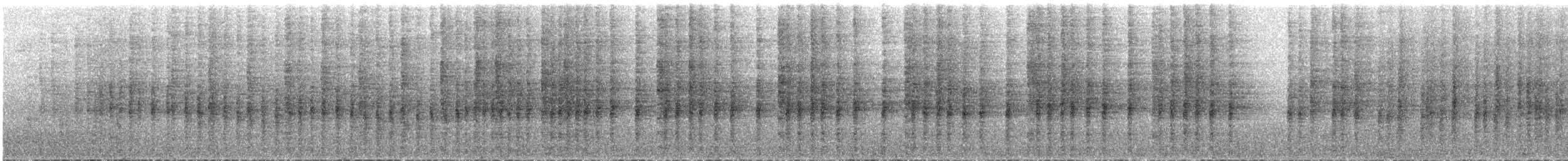 Gray-barred Wren - ML638329408