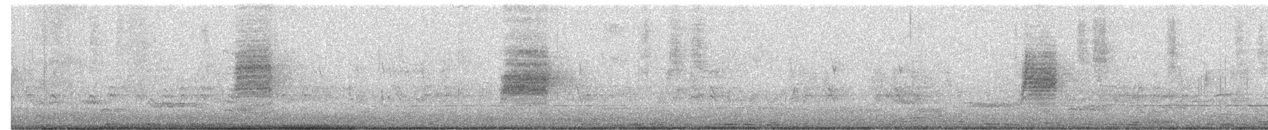 Bewick's Wren - ML638329436