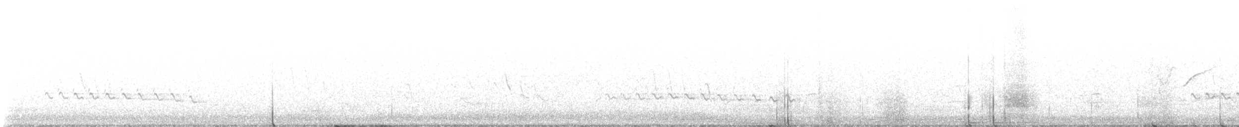 Paseriformea sp. - ML638330200