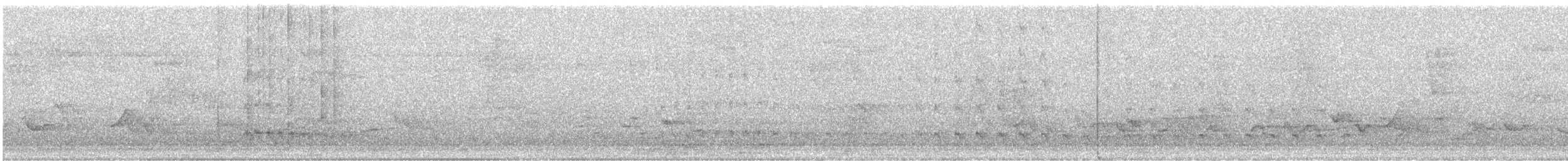 תורית אמריקנית - ML638330339