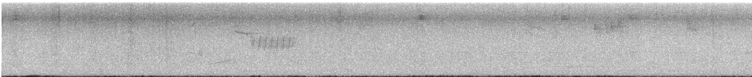 Bewick's Wren - ML638330663