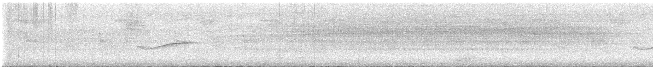 Hellbauch-Schnäppertyrann - ML638331046
