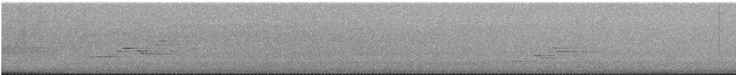 eremittskogtrost - ML638331132