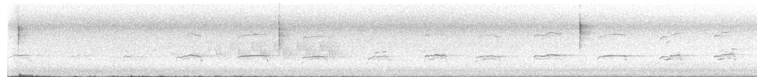 שלך (carolinensis) - ML638331166