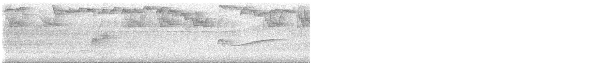 Hellbauch-Schnäppertyrann - ML638331221