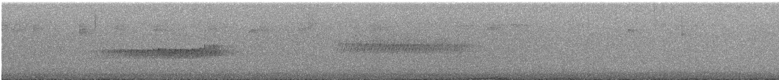 Pine Warbler - ML638331407