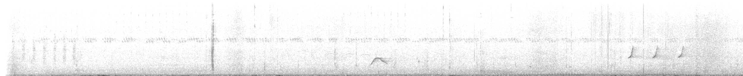 Flötenstärling - ML638331751