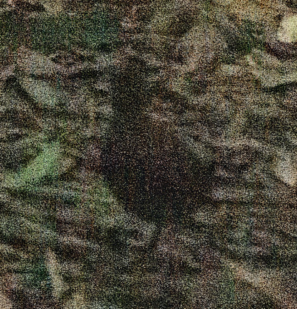 Black-faced Antthrush - ML638331962