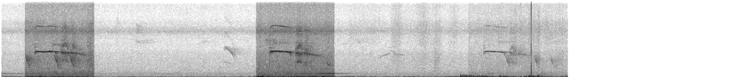 Southern Beardless-Tyrannulet - ML638332198