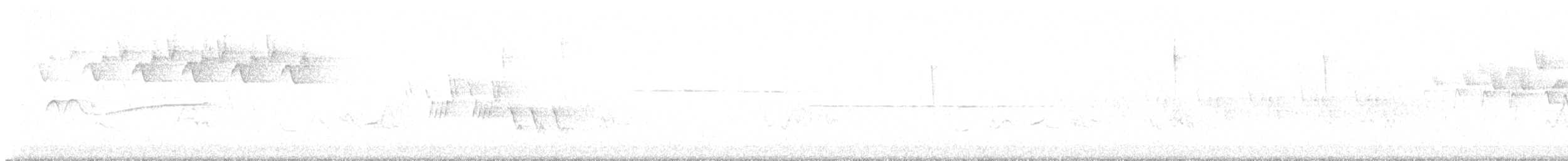 Mourning Warbler - ML638332223