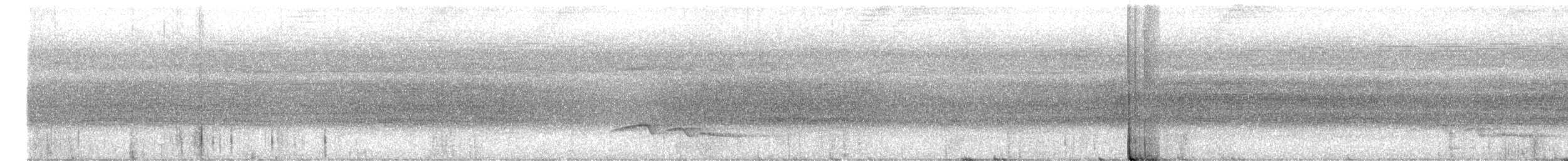 White-breasted Wood-Wren - ML638332311