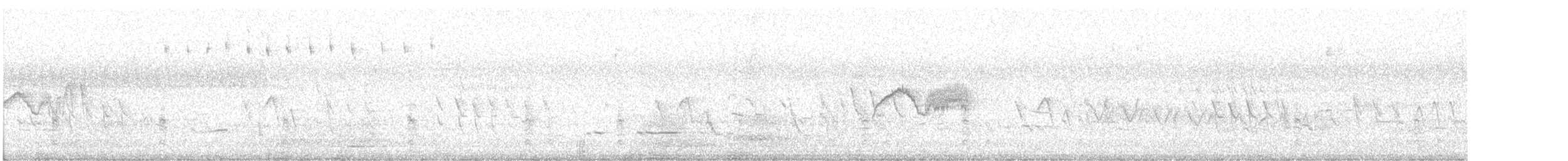 Moucherolle phébi - ML638332452