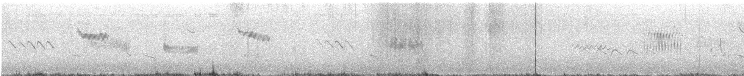 Grass Wren (Paramo) - ML638333193