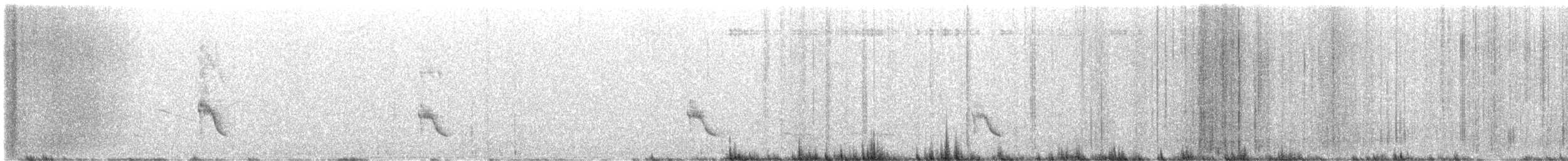 Tawny Antpitta - ML638333220