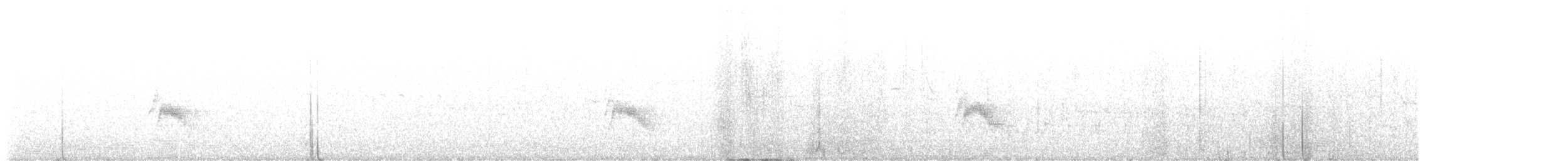 Bicknell's Thrush - ML638333356