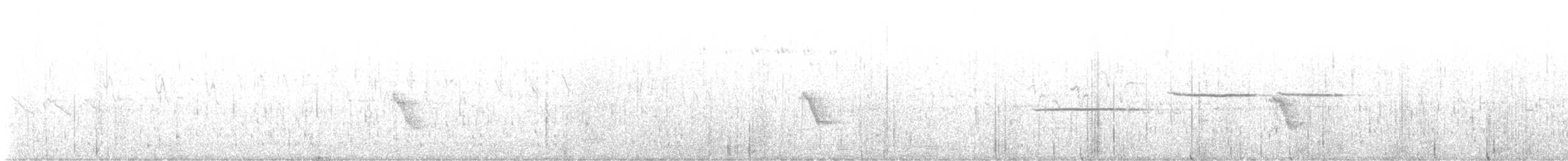 Bicknell's Thrush - ML638333357