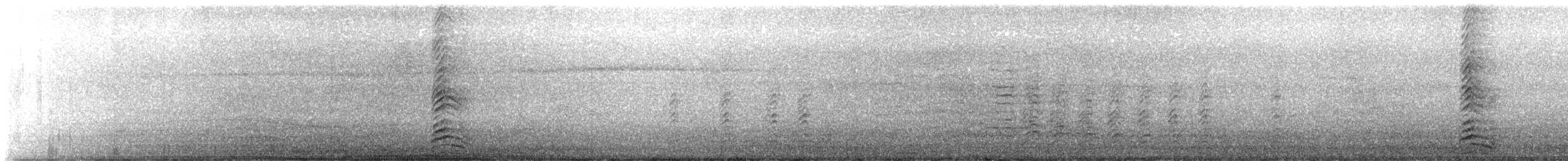 Heermann's Gull - ML638333378