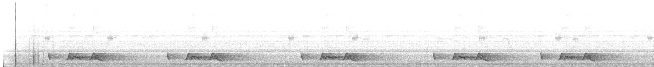 Chuck-will's-widow - ML638333391
