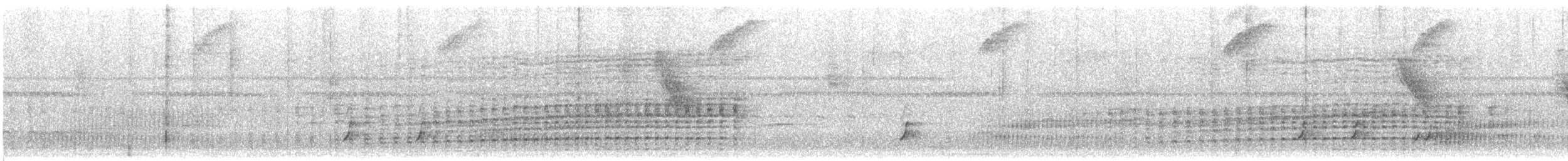 Peruvian Recurvebill - ML638333392