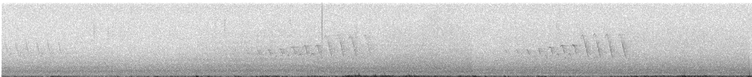 Grace's Warbler - ML638333554