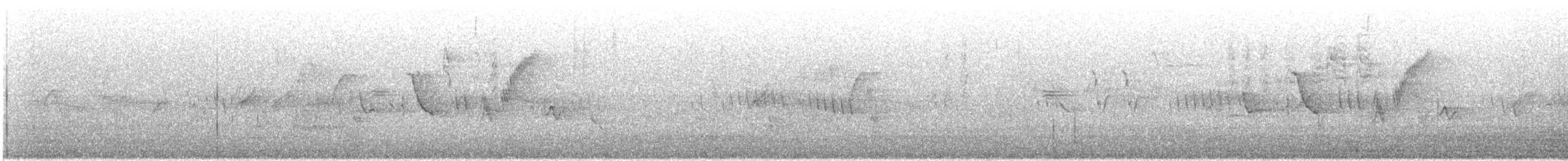svartmaskespurv - ML638334191