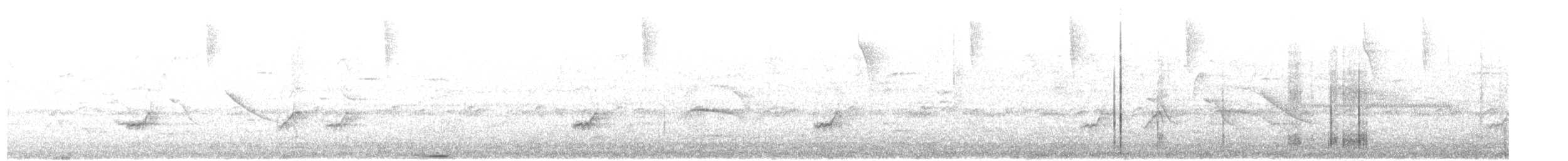 Barred Parakeet - ML638335631