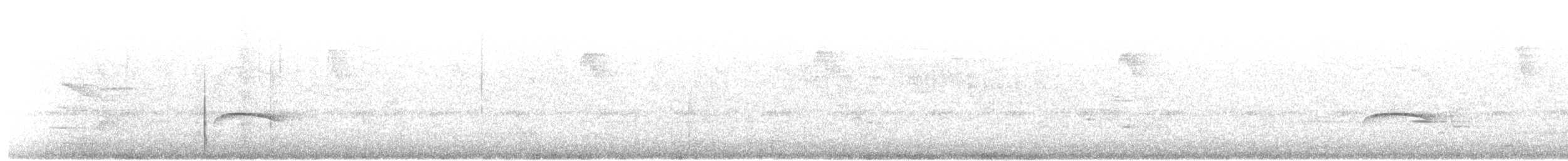 Haubenkleintyrann - ML638335671