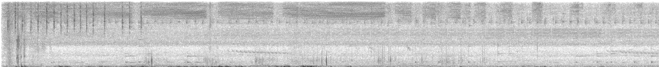 שלדג לבן-חזה - ML638335861