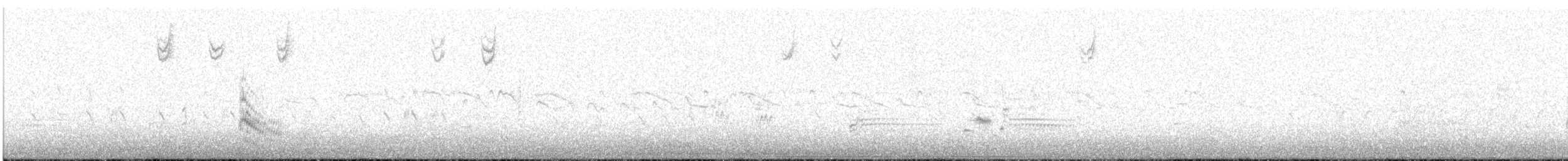Forster's Tern - ML638337227