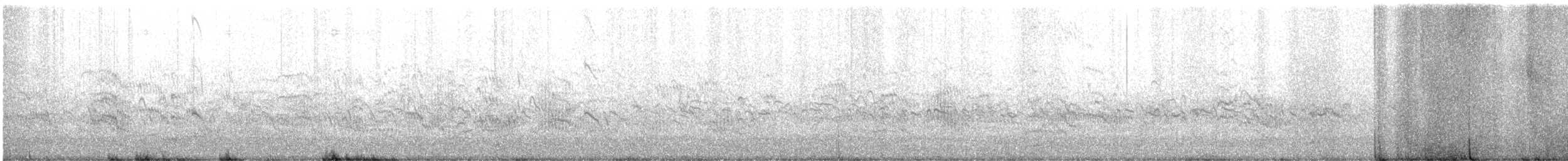 Arctic Tern - ML638337997