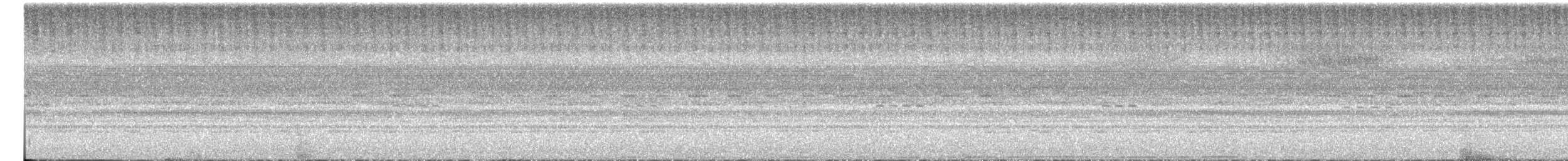 Nocturnal Curassow - ML638338272