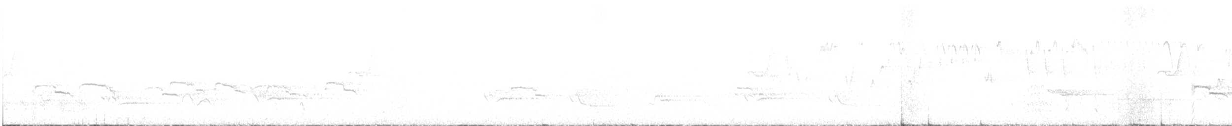 Marbled Murrelet - ML638339763